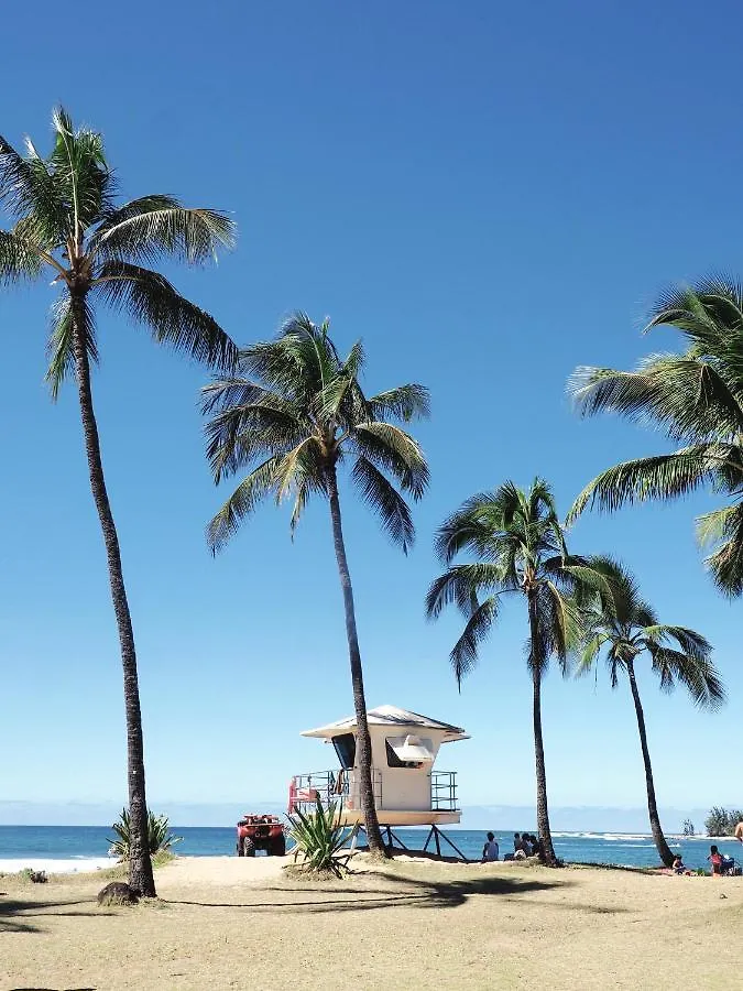 Free Parking, Pool, Sauna, Spa, Wifi, Bbq, Ac - Waikiki Banyan Honolulu Apartment