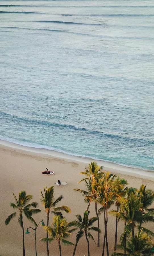 Apartment Free Parking, Pool, Sauna, Spa, Wifi, Bbq, Ac - Waikiki Banyan Honolulu