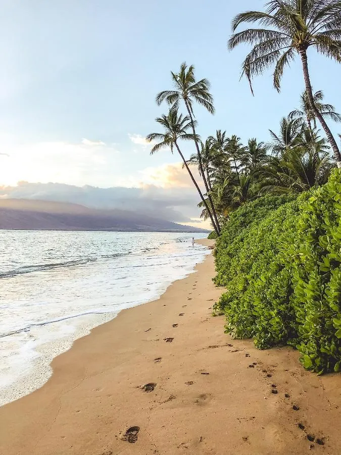 Free Parking, Pool, Sauna, Spa, Wifi, Bbq, Ac - Waikiki Banyan Honolulu 0*,  United States