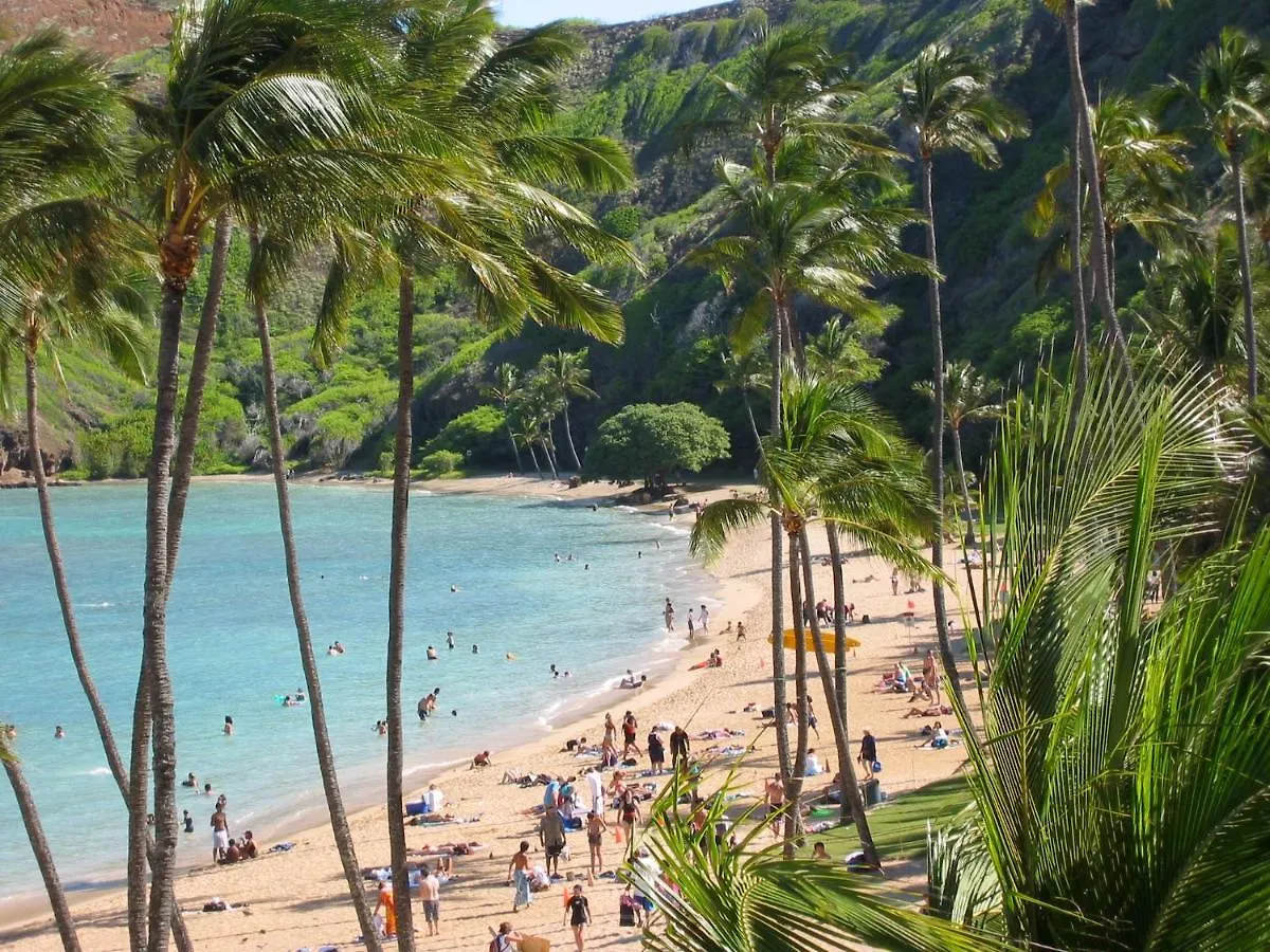 Free Parking, Pool, Sauna, Spa, Wifi, Bbq, Ac - Waikiki Banyan Honolulu Daire